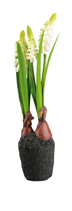 Hiacynt-010-2014-02-11 _ 03_34_12-75