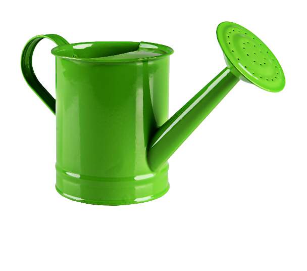 Konewka metalowa-006-2014-05-27 _ 14_00_14-80