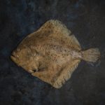 20 marca, obchodzony jako Międzynarodowy Dzień Bez Mięsa (Meatout Day) dlatego pora na: Turbot w roli głównej – ryba, której się nie oprzesz