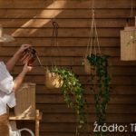 Nowe kolory lakierobejcy Tikkurila Valtti Plus Complete