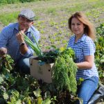 Trendy kulinarne na 2022